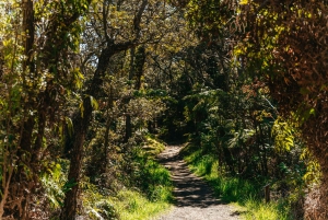 Hilo: Elite Volcano Hike