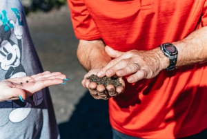 Hilo: Elite Volcano Hike