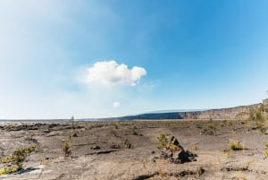 Hilo: Elite vulkaanwandeling