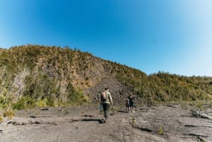 Hilo: Elite vulkaanwandeling
