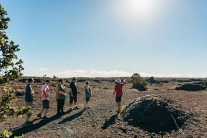 Hilo : randonnée sur le volcan Elite