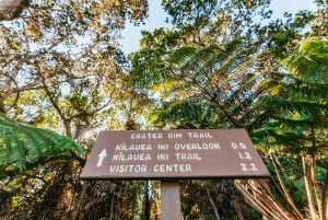 Hilo : randonnée sur le volcan Elite