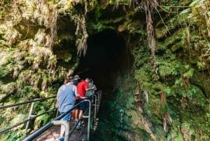 Hilo: escursione al vulcano d'élite
