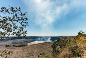 Hilo : Randonnée sur le volcan Elite
