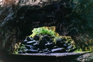 Hilo : Randonnée sur le volcan Elite