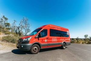 Hilo : Randonnée sur le volcan Elite