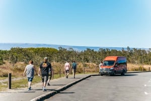 Hilo : Randonnée sur le volcan Elite