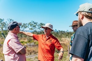 Hilo : Randonnée sur le volcan Elite