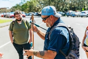 Hilo : Randonnée sur le volcan Elite