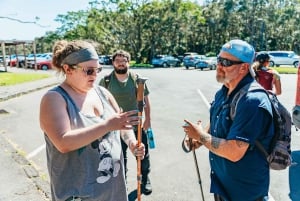 Hilo : Randonnée sur le volcan Elite