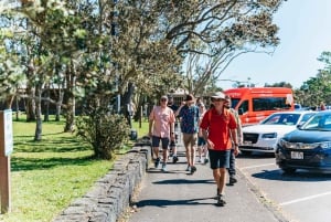 Hilo : Randonnée sur le volcan Elite