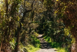 Hilo : Randonnée sur le volcan Elite