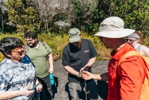 Hilo : Randonnée sur le volcan Elite