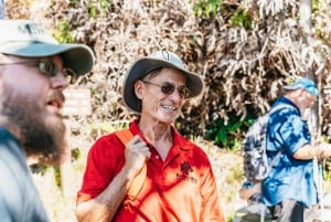 Hilo : Randonnée sur le volcan Elite