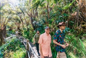 Hilo : Randonnée sur le volcan Elite