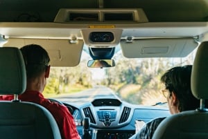 Hilo : Randonnée sur le volcan Elite