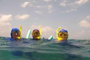 Hilo: Opastettu snorklausretki, luontopolku ja välipalat