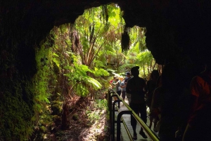 Hilo, Hawaii – vulkan, vandfald og strandtur med frokost