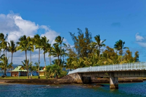 Hilo, Hawaii – vulkan, vandfald og strandtur med frokost