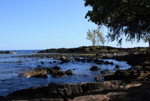 Hilo, Hawaii – vulkan, vandfald og strandtur med frokost