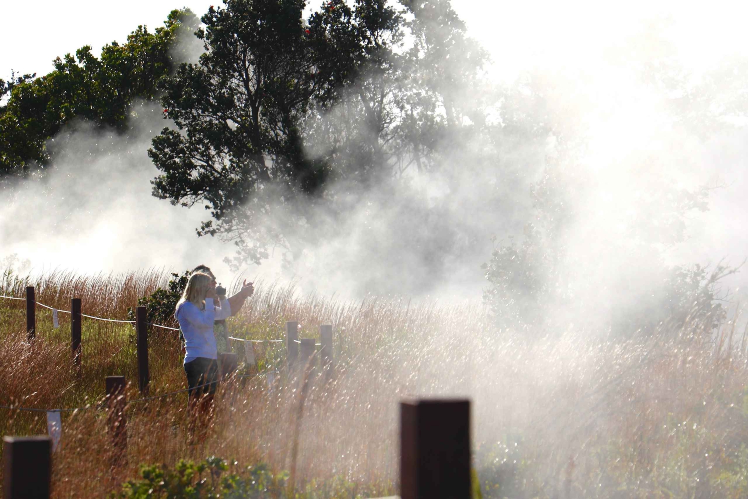 Hilo: Parque Nacional dos Vulcões do Havai e Destaques de Hilo ...