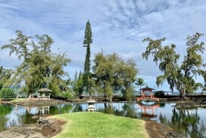 Hilo: Parque Nacional dos Vulcões do Havai e Destaques de Hilo ...