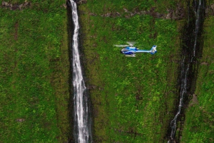 Hilo : Excursion en hélicoptère pour découvrir les chutes d'eau de Hilo