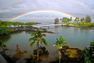 Hilo: Hilo Bay and Coconut Island SUP Guided Tour