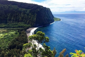Hilo: Historiallinen Havaijin Hamakua-risteily