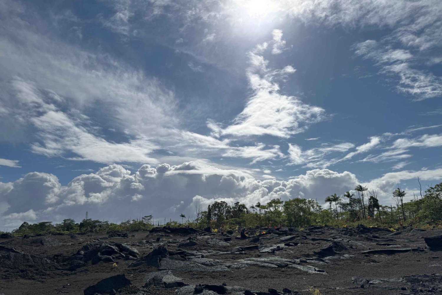 Hilo: Kilauea Fissure 8 vandretur, vulkaner og vandfald