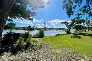 Hilo: Kilauea Fissure 8 vandretur, vulkaner og vandfald