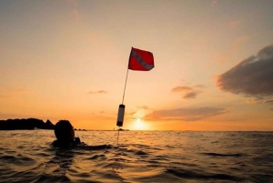Hilo: Night Dive for Certified Divers