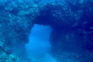 Hilo: Night Dive for Certified Divers