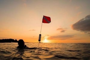 Hilo: immersione notturna per subacquei certificati