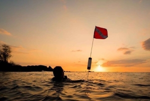 Hilo : plongée de nuit pour les plongeurs certifiés