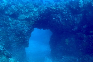 Hilo : plongée de nuit pour les plongeurs certifiés