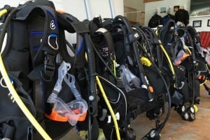 Hilo: Uppdateringskurs i dykning