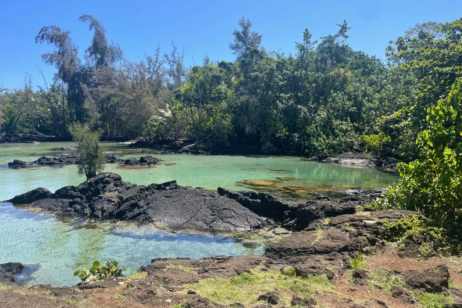 Hilo: Snorkling i havssköldpaddslagunen och på Black Sand Beach