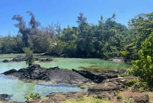 Hilo: Snorkletur til Sea Turtle Lagoon og en sort sandstrand