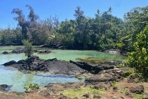 Hilo: Snorkling i havssköldpaddslagunen och på Black Sand Beach