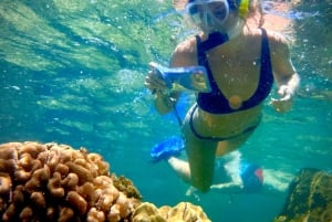 Hilo: Snorkling i havssköldpaddslagunen och på Black Sand Beach