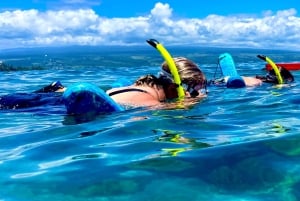 Hilo: Snorkling i havssköldpaddslagunen och på Black Sand Beach