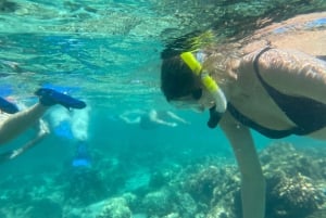 Hilo: Snorkling i havssköldpaddslagunen och på Black Sand Beach