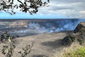Da Hilo: Tour del Parco Nazionale dei Vulcani delle Hawaii