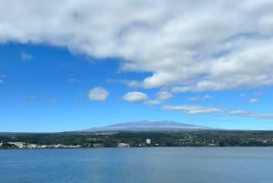 Da Hilo: Tour del Parco Nazionale dei Vulcani delle Hawaii