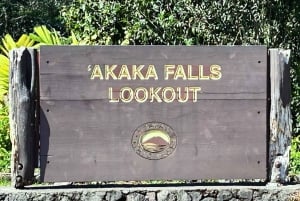 Hilo Shore Excursion: Majestic Waterfalls