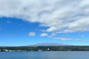 Hilo Shore Excursion: Majestic Waterfalls