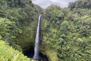 Hilo Shore Excursion: Majestic Waterfalls