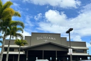 Hilo Shore Excursion: Majestic Waterfalls