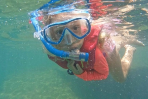 Hilo: Snorkling med havskilpadder